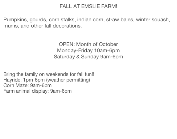 FALL AT EMSLIE FARM!

Pumpkins, gourds, corn stalks, indian corn, straw bales, winter squash, mums, and other fall decorations.


OPEN: Month of October
Monday-Friday 10am-6pm
Saturday & Sunday 9am-6pm


Bring the family on weekends for fall fun!!
Hayride: 1pm-6pm (weather permitting)
Corn Maze: 9am-6pm
Farm animal display: 9am-6pm

Friday and Saturday Nights: Haunted Barn (click here)



click for map
